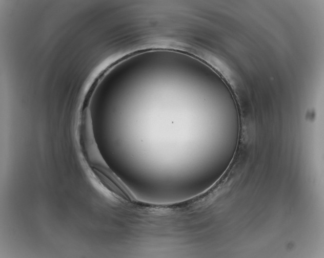 X0000097801136200803141048