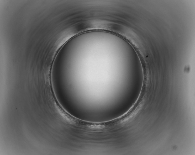 X0000097801137200803141048