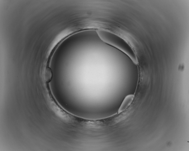 X0000097801138200803141048