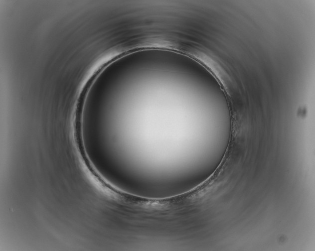 X0000097801139200803141048