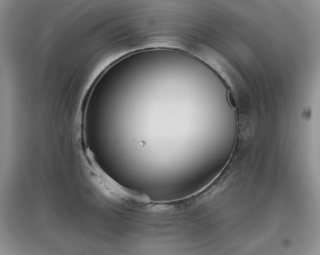 X0000097801140200803141048