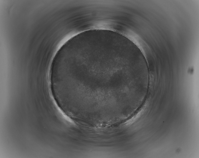 X0000097801141200803141048