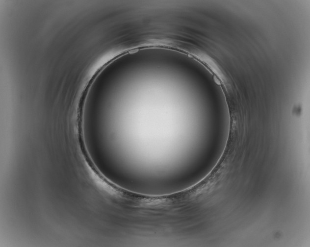 X0000097801143200803141048