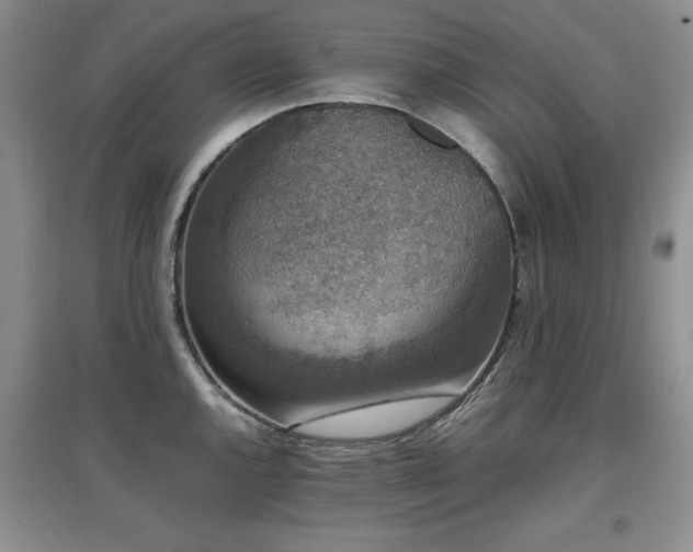 X0000097801144200803141048