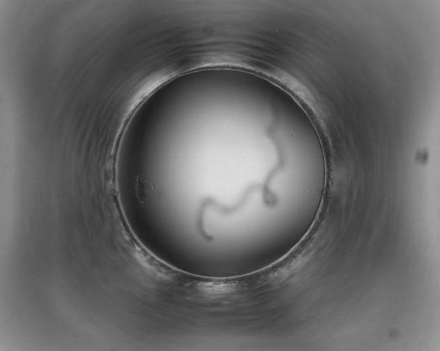 X0000097801145200803141048