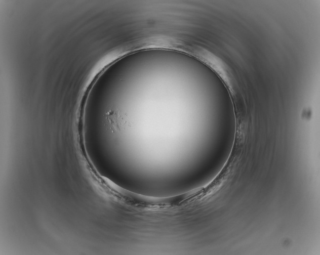 X0000097801146200803141048