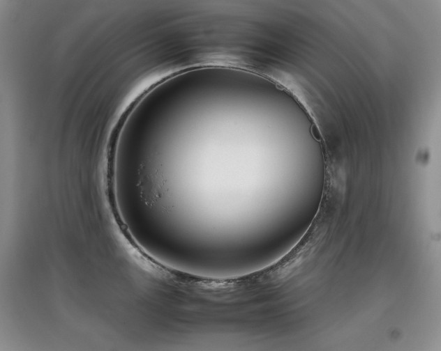 X0000097801147200803141048