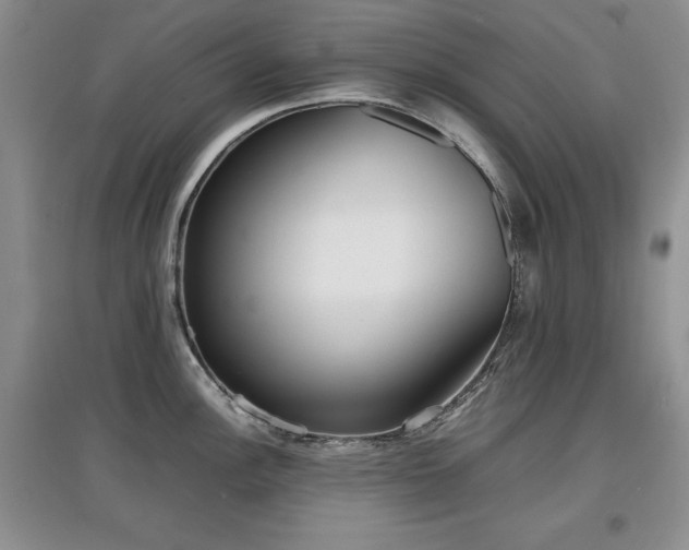 X0000097801148200803141048