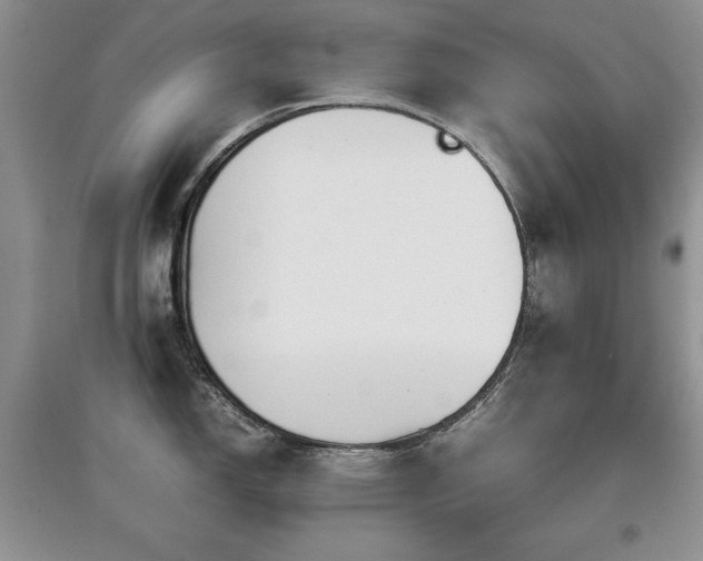 X0000097801150200803141048