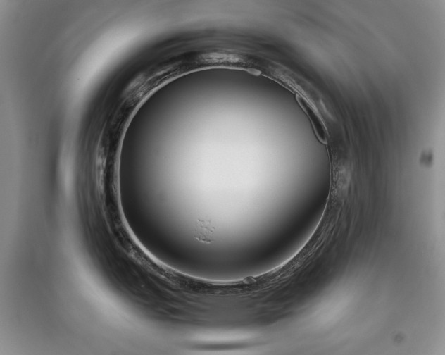 X0000097801151200803141048