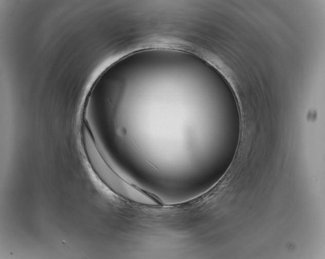 X0000097801152200803141048