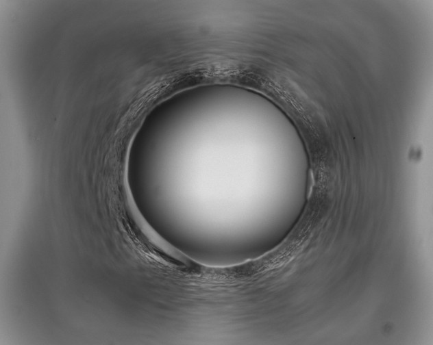 X0000097801153200803141047