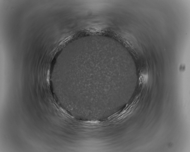 X0000097801156200803141047