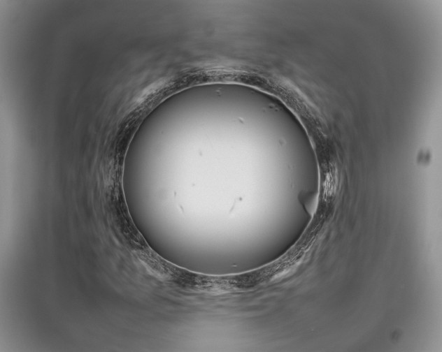 X0000097801157200803141047