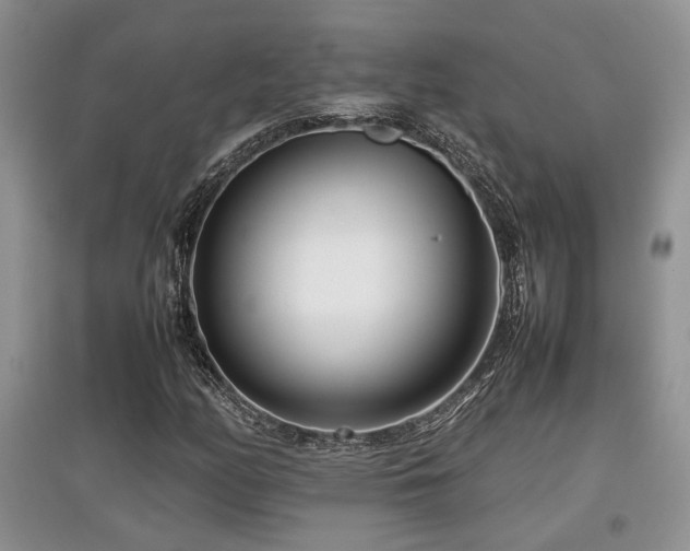 X0000097801158200803141047