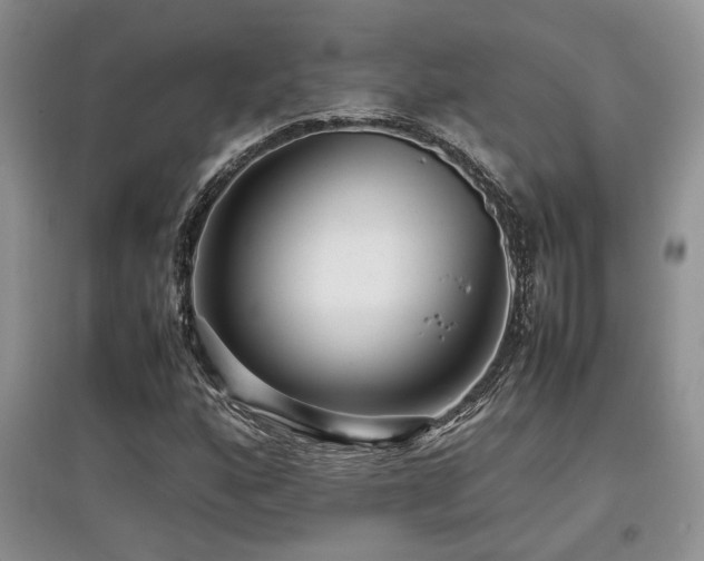 X0000097801160200803141047