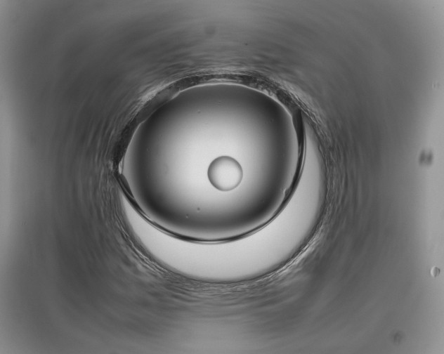 X0000097801161200803141047