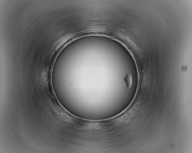 X0000097801162200803141047