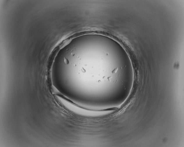 X0000097801165200803141047