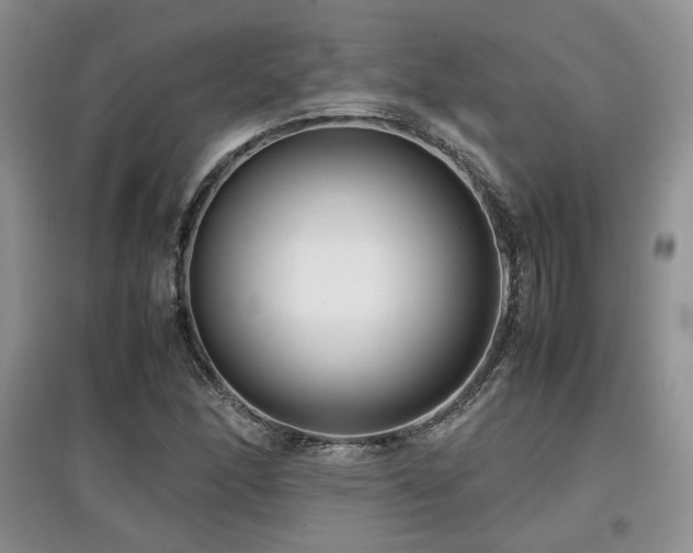 X0000097801166200803141047