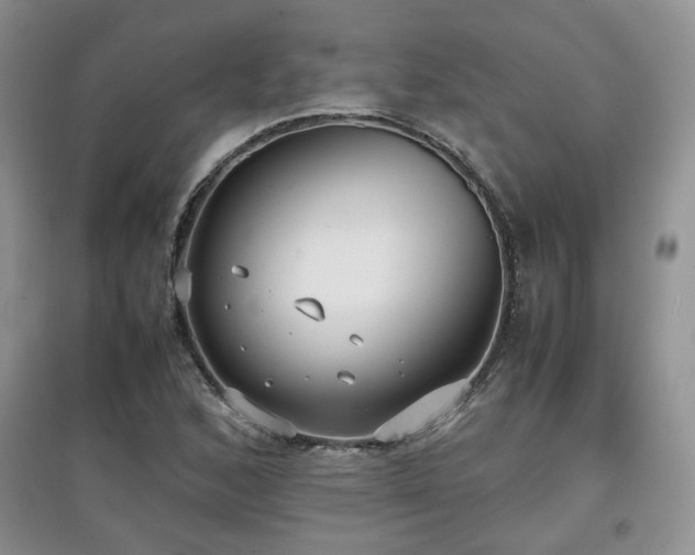 X0000097801168200803141047