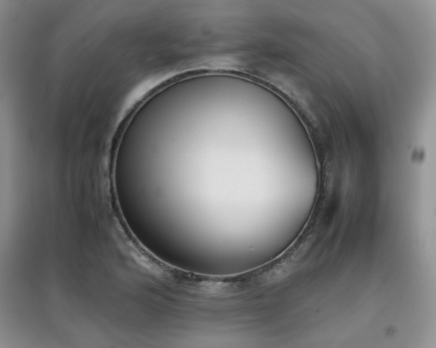 X0000097801176200803141047