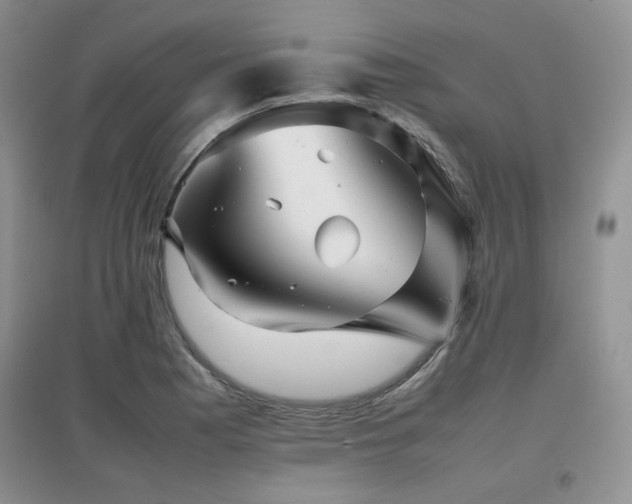 X0000097801177200803141047