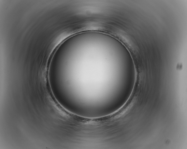 X0000097801178200803141047