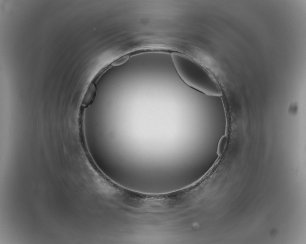 X0000097801181200803141047