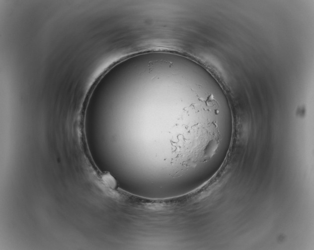 X0000097801182200803141047