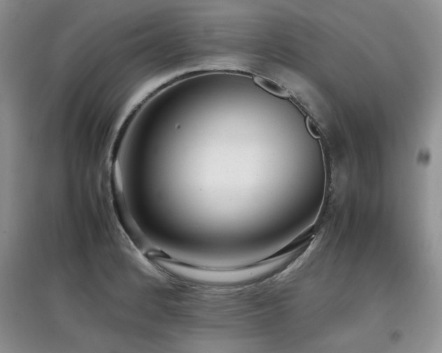 X0000097801184200803141047