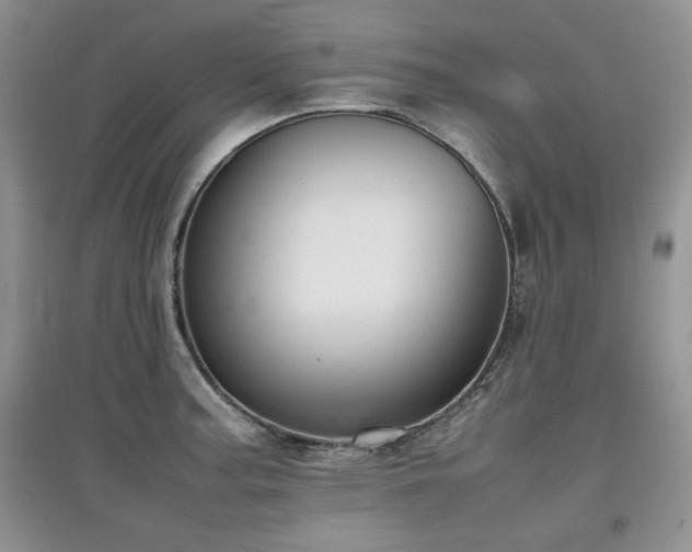 X0000097801187200803141047