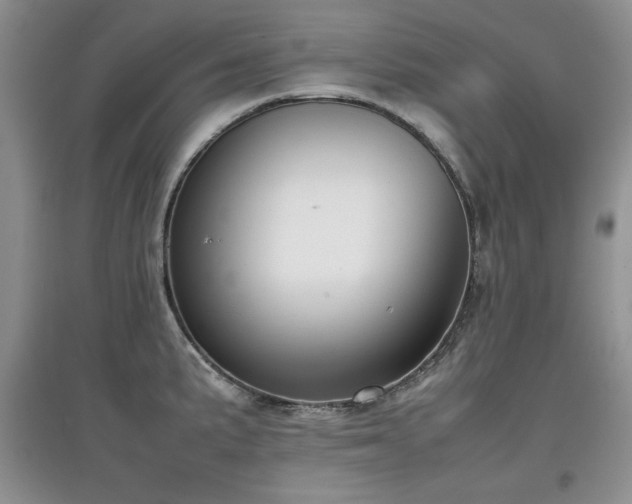 X0000097801191200803141047