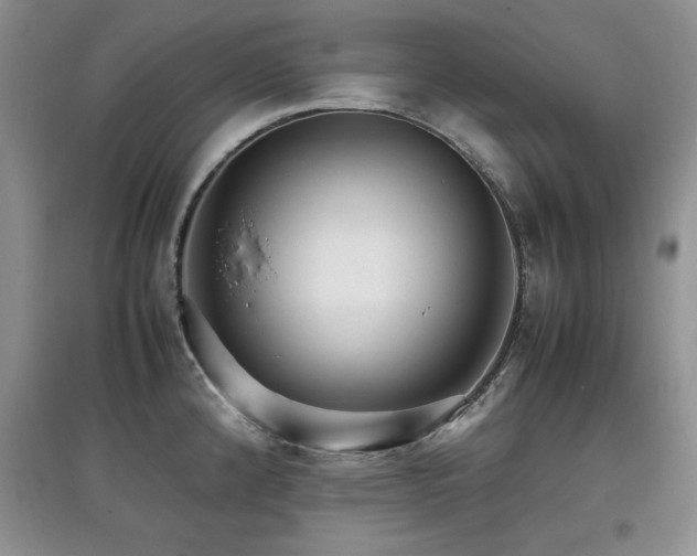 X0000097801192200803141047