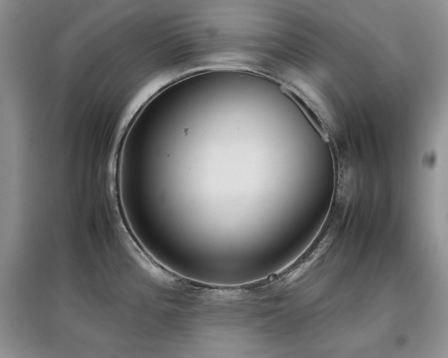 X0000097801196200803141047