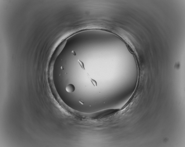 X0000097801197200803141047