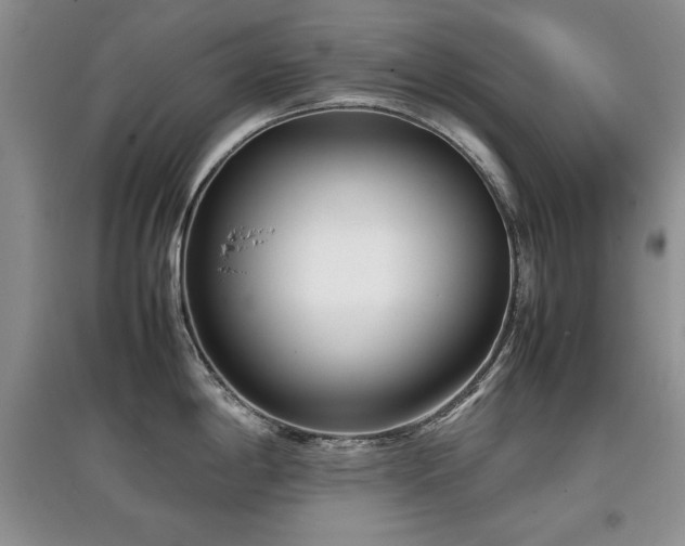 X0000097801198200803141047