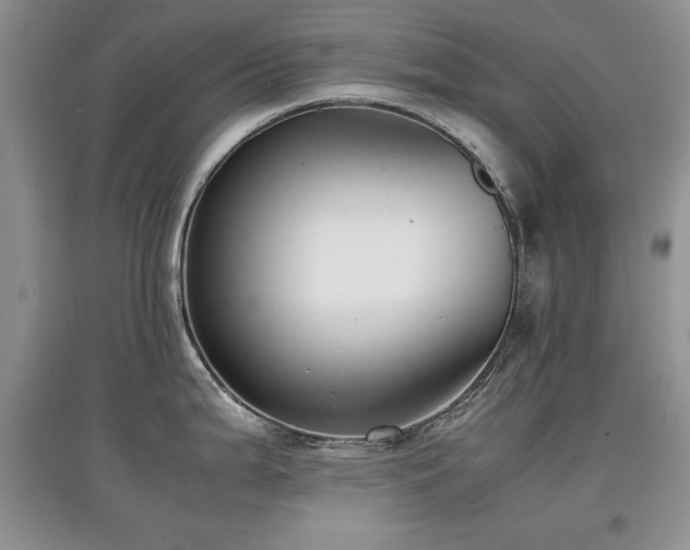 X0000097801199200803141047