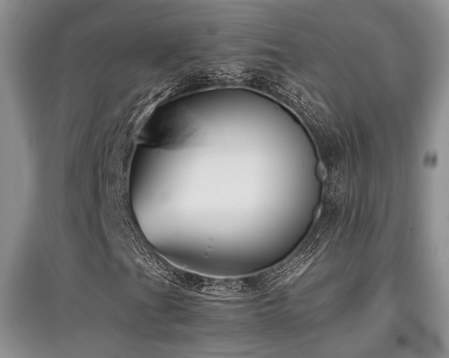 X0000097801201200803141046