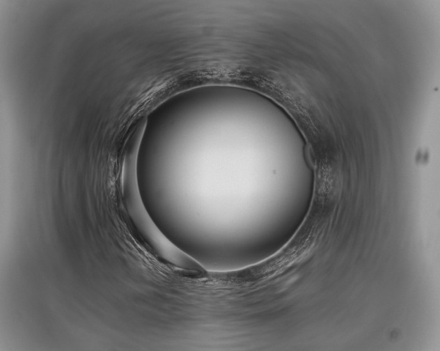 X0000097801202200803141046