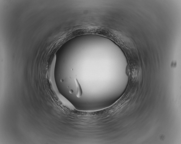 X0000097801204200803141046