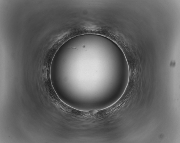 X0000097801205200803141046