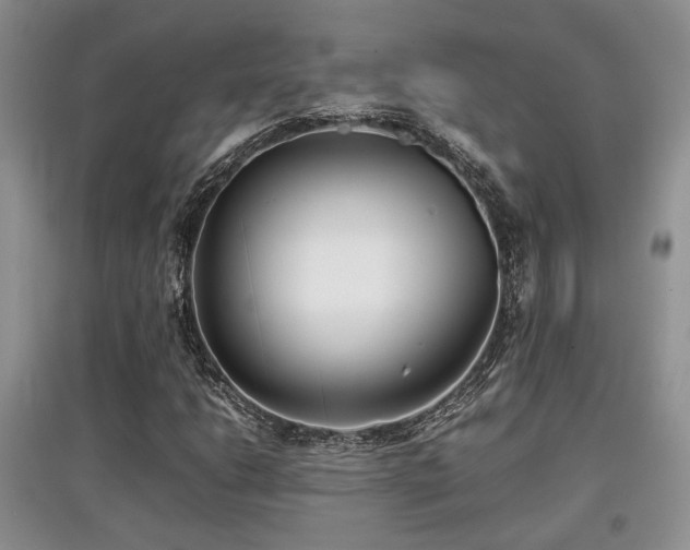 X0000097801206200803141046