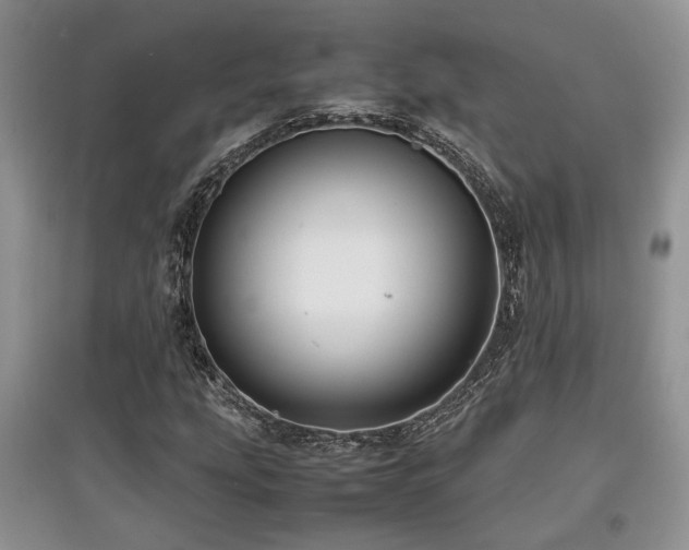 X0000097801207200803141046