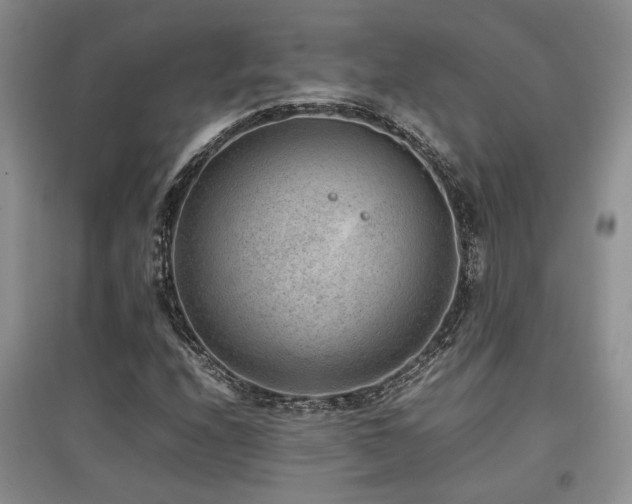 X0000097801208200803141046