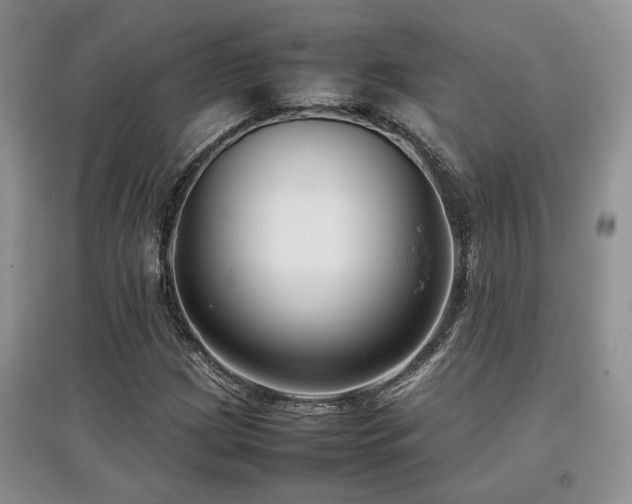X0000097801209200803141046