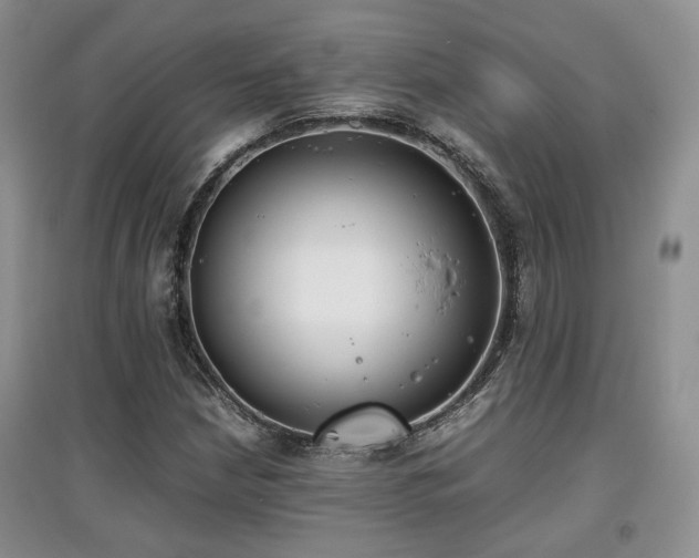 X0000097801210200803141046