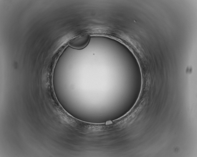 X0000097801211200803141046