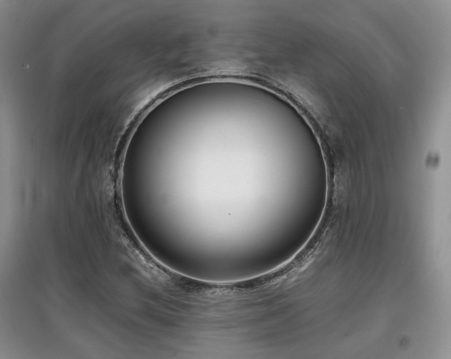X0000097801212200803141046