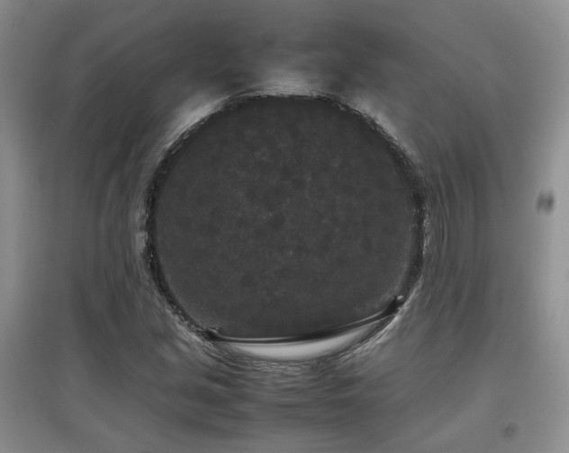 X0000097801213200803141046